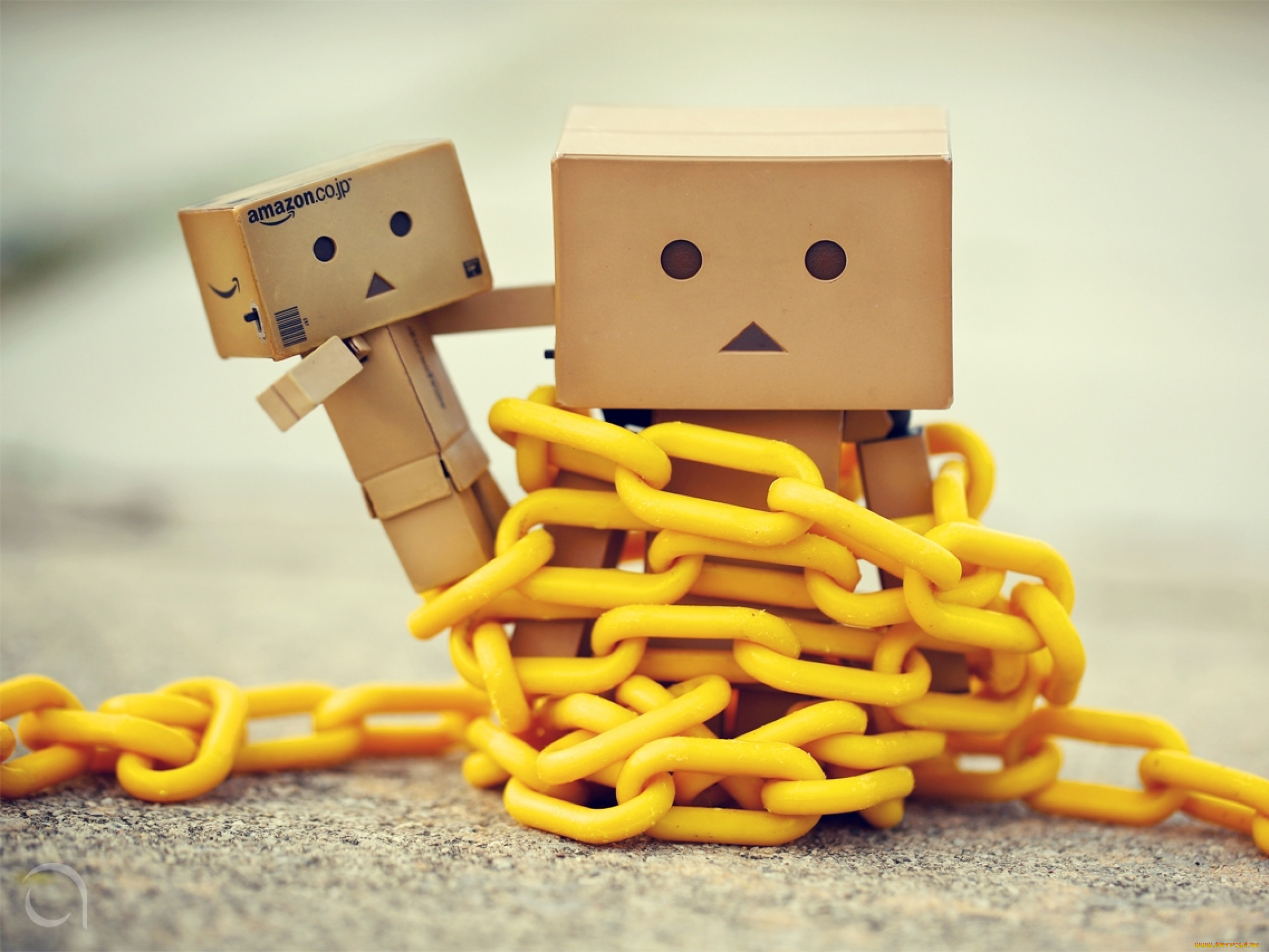 , , danboard, , 